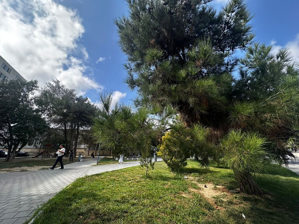 Bakı, 2 otaqlı, Köhnə tikili, 40 kv. m
