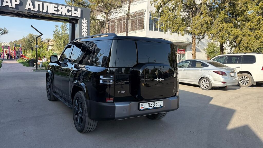 BYD FangChengBao Titanium 7: 2025 г.: фото 2