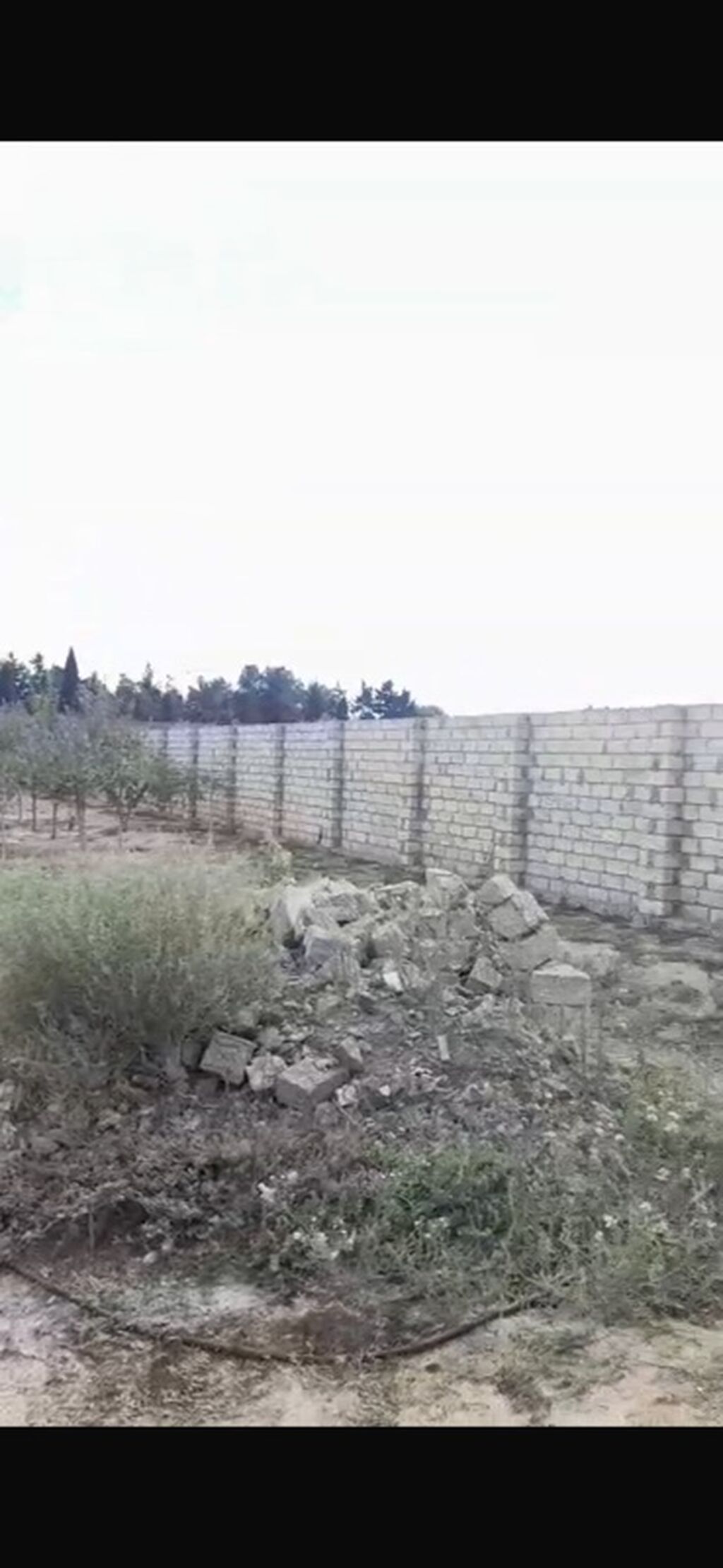 Kənd təsərrüfatı, Maklerlər narahat etməsin, Kupça (Çıxarış)