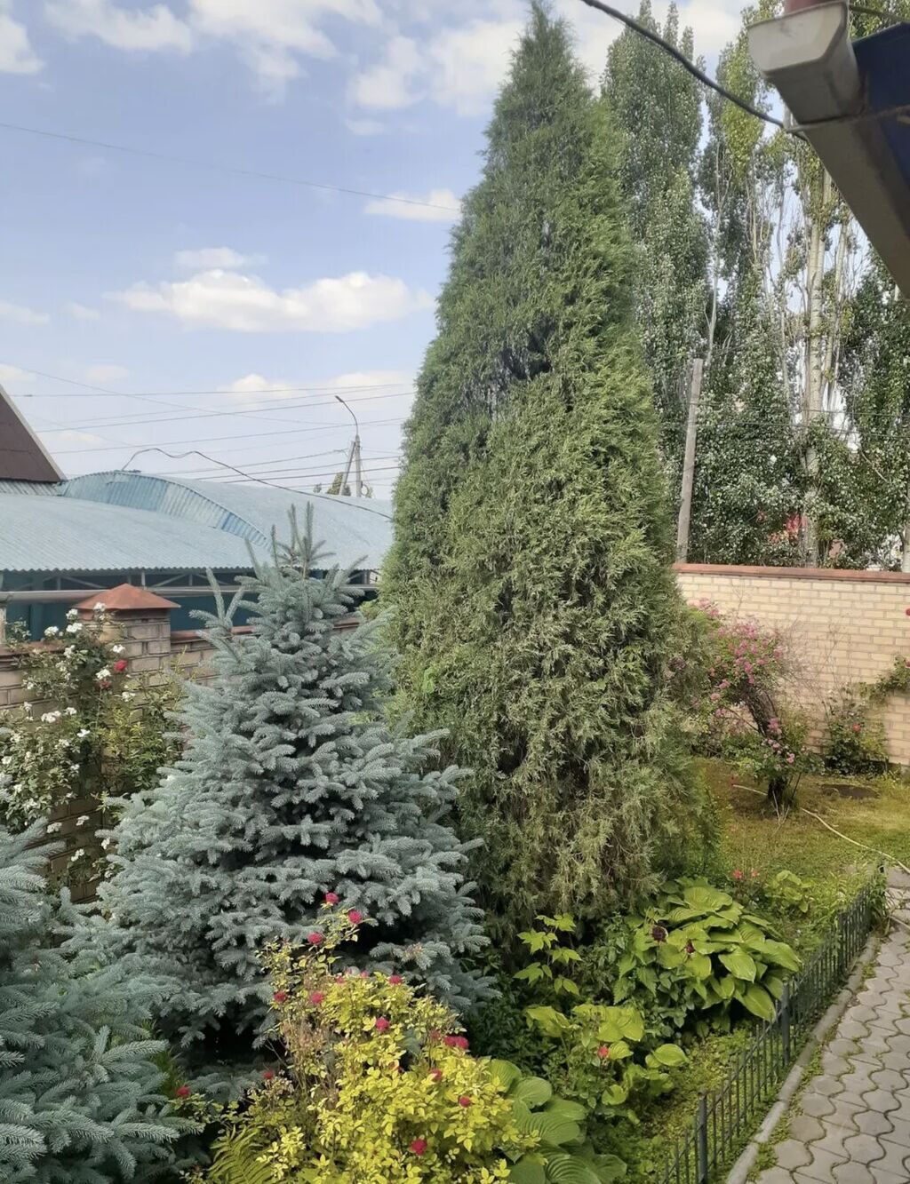 300 м², 6 комнат и более, Нижний Джал (Джал-23), Можно с животными: фото 5