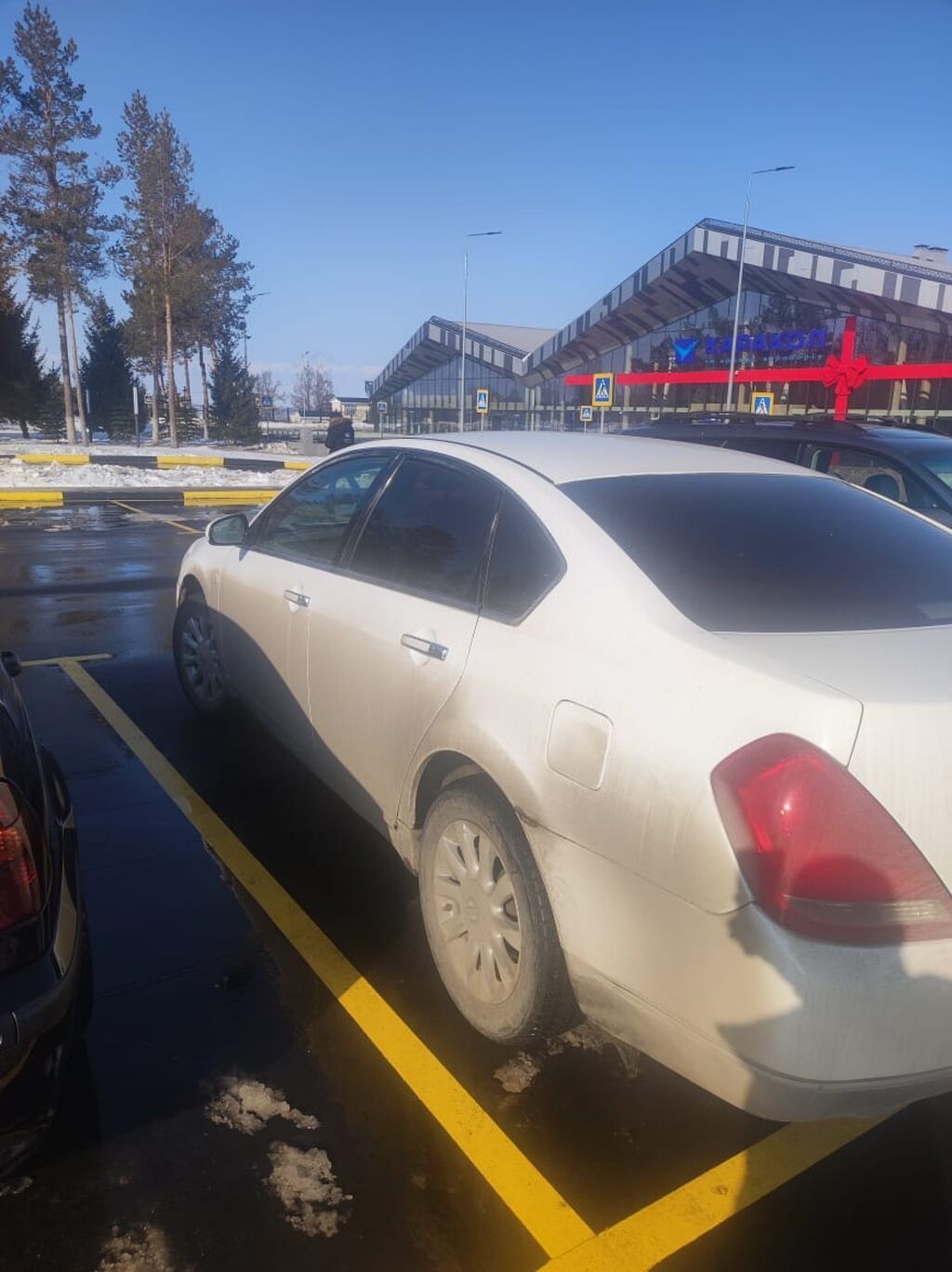 Nissan Teana: 2004 г., 2.3 л, Автомат, Газ, Седан — фото 6
