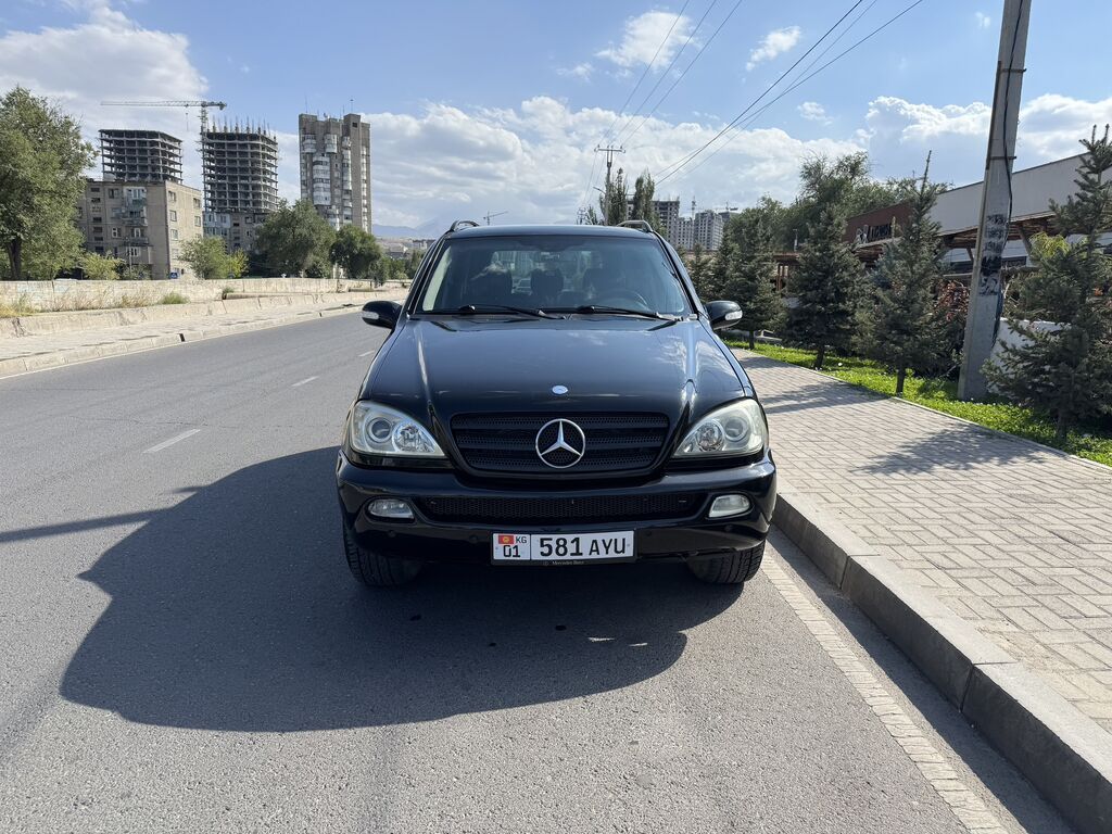 Mercedes-Benz M-Class: 2004 г., 3.7 л, Автомат, Газ, Внедорожник: фото 2
