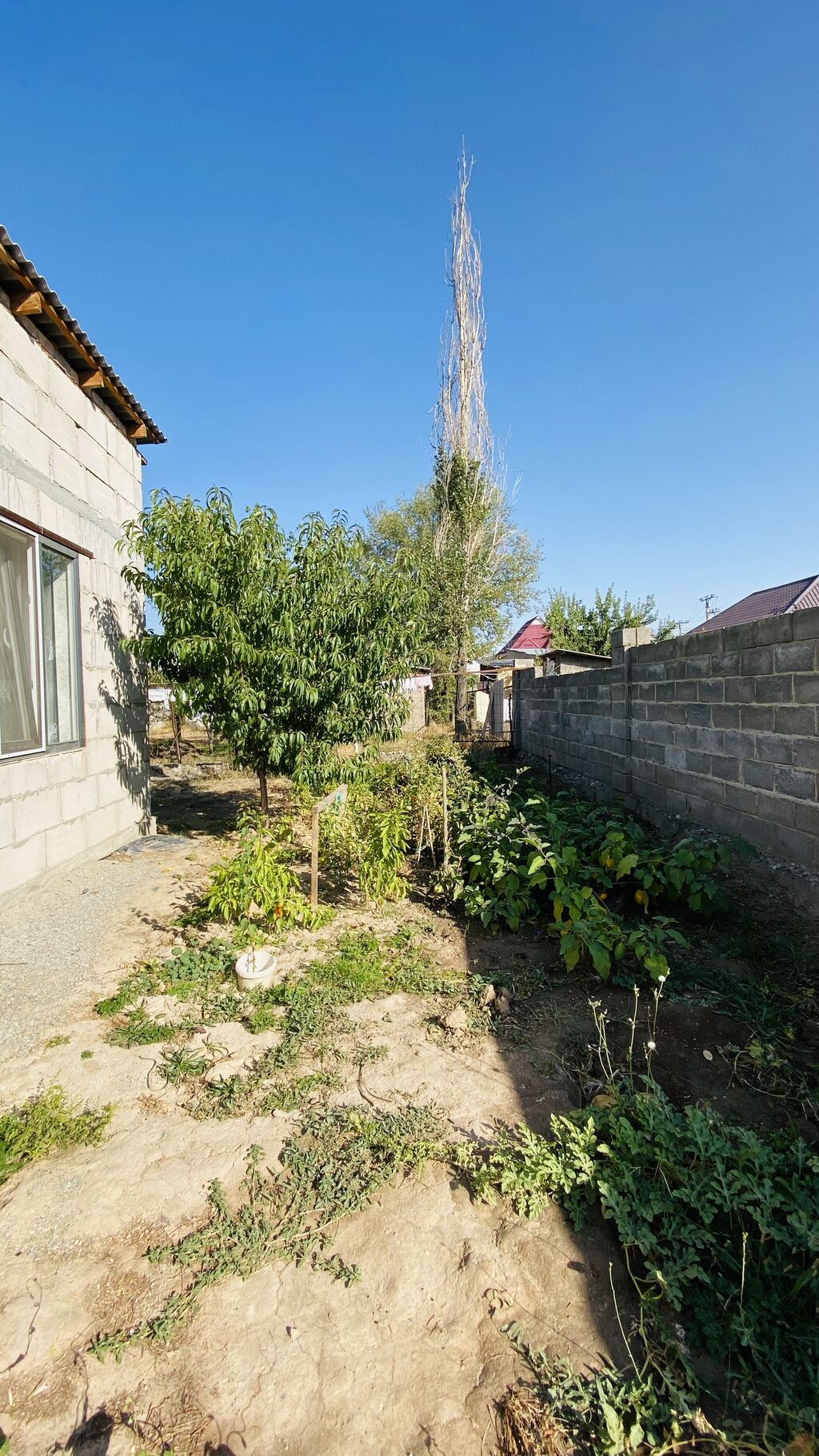 6 комнат и более, 200 м², 6 соток, Бишкек, Агентство недвижимости: фото 6