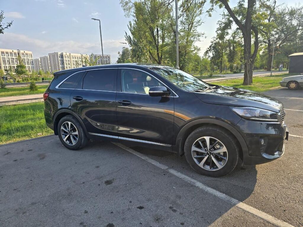 Kia Sorento 2018 г., 2.0 л, автомат, дизель: фото 4