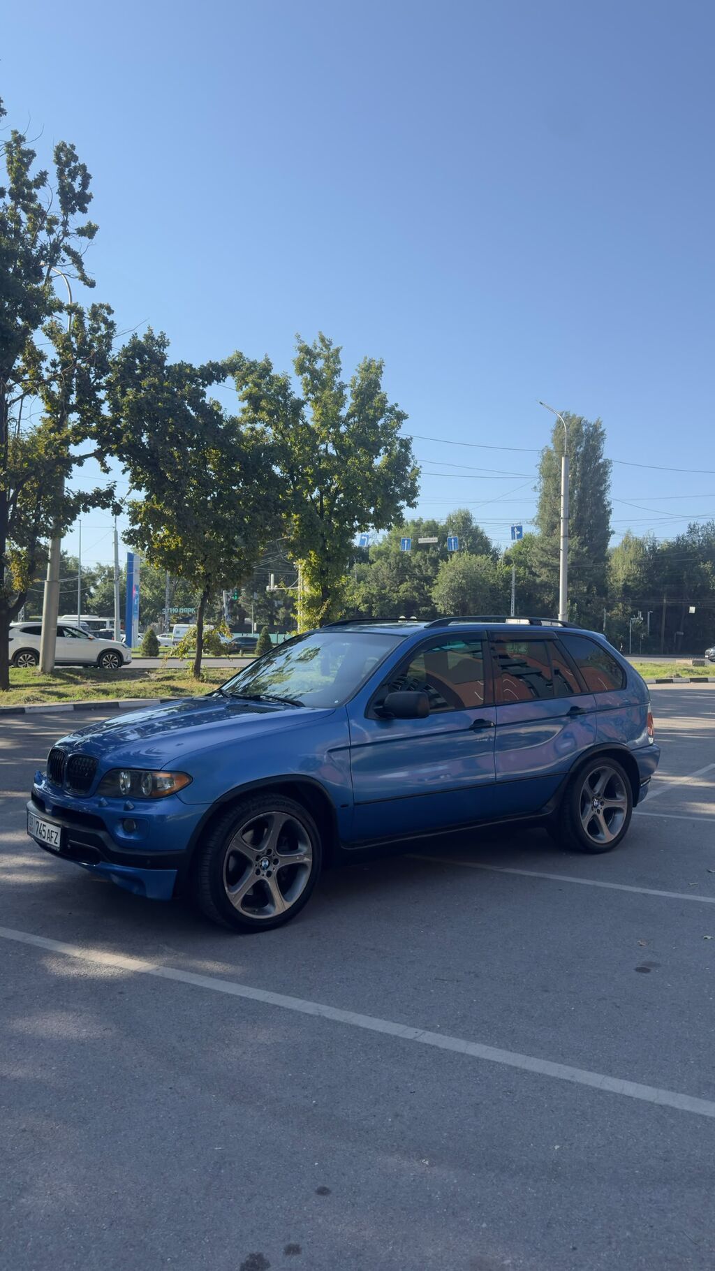 BMW X5: 2003 г., 4.6 л, Автомат, Бензин, Внедорожник: фото 5