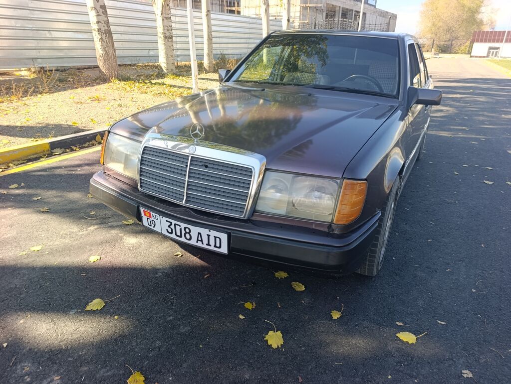 Mercedes-Benz W124: 1993 г., 3.2 л, Автомат, Бензин, Седан: фото 2