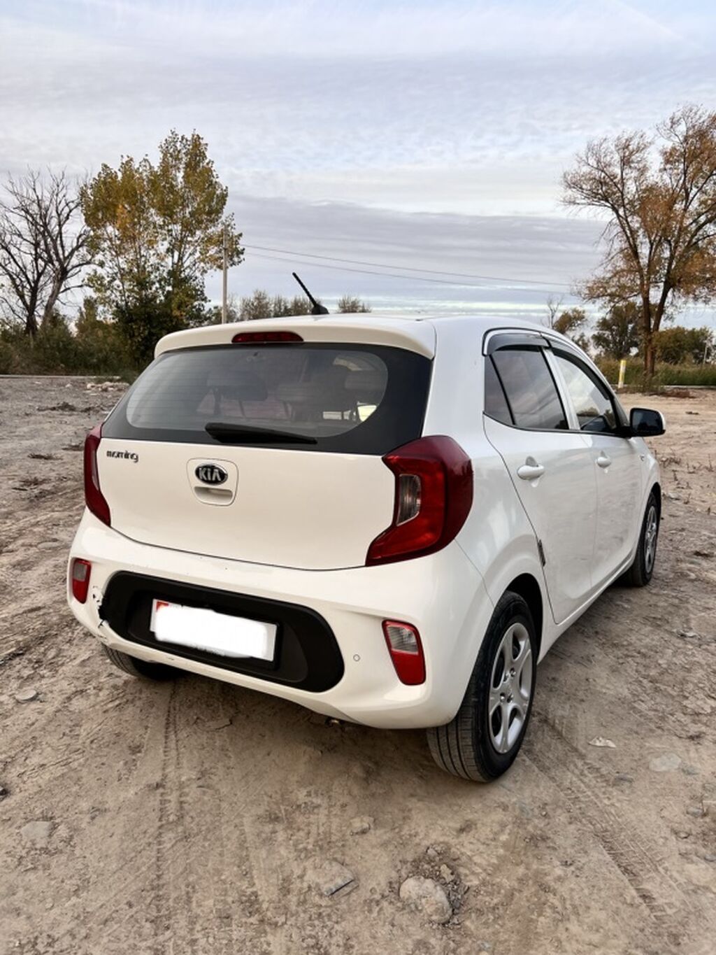 Kia Morning: 2019 г., Автомат, Газ, Хэтчбэк: фото 5