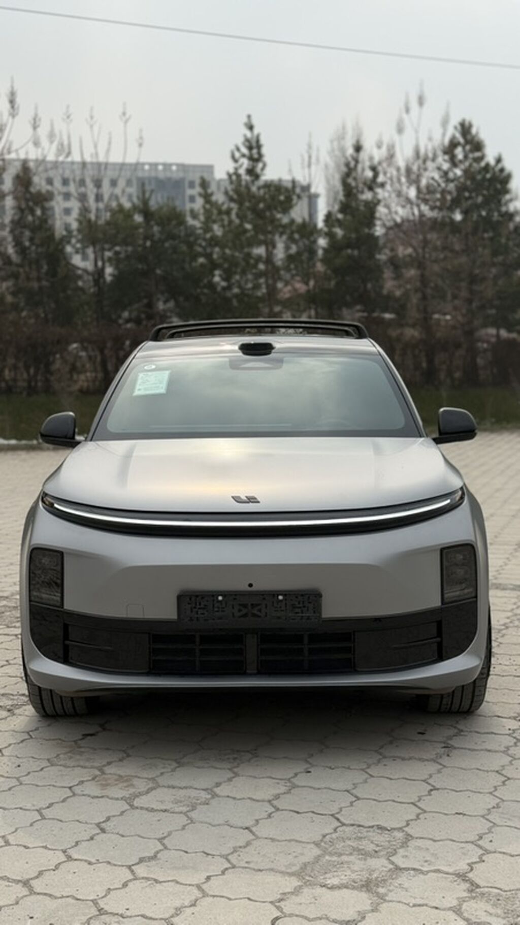 Lixiang L6