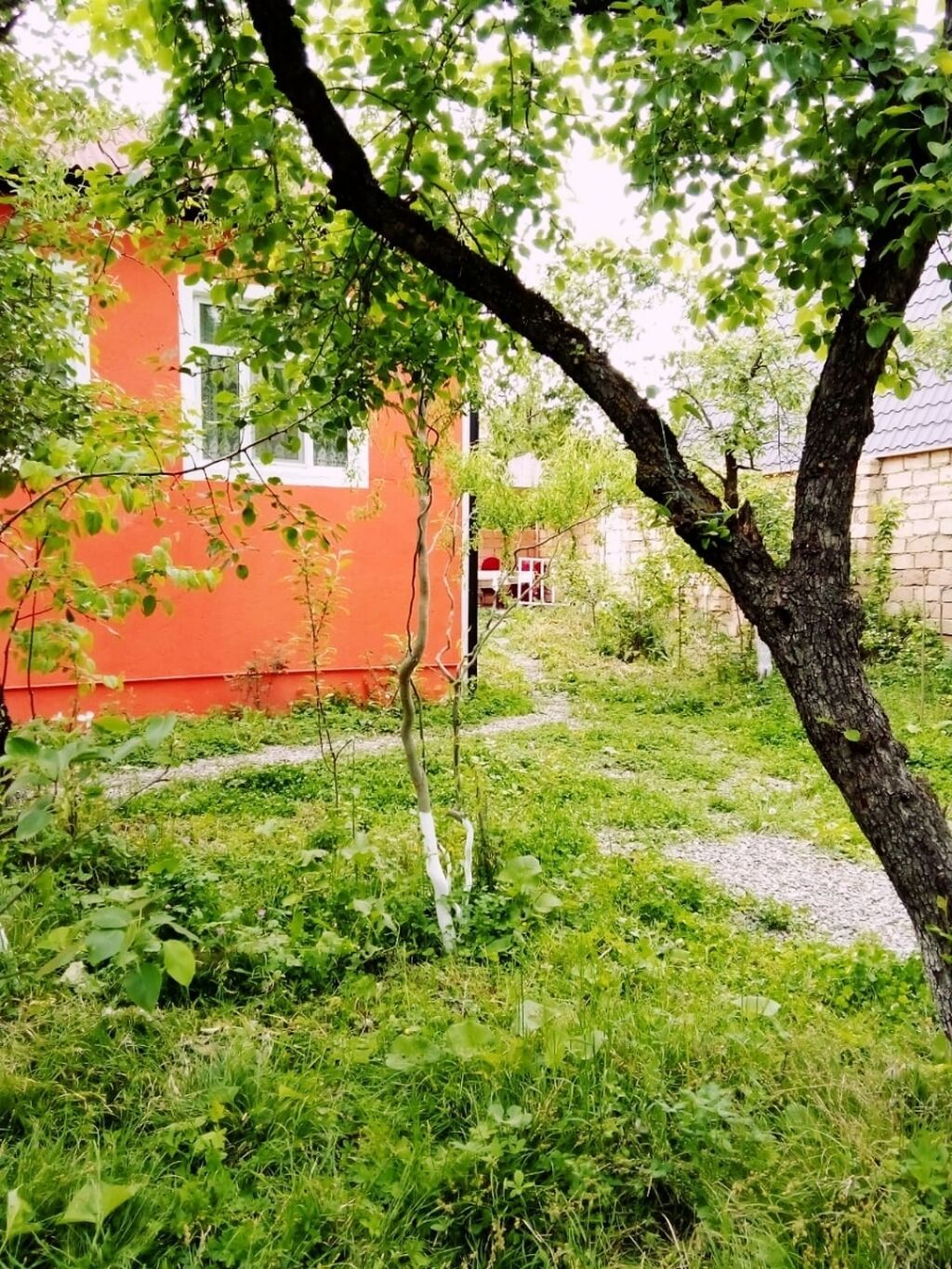 100 kv. m, 3 otaqlı, İnternet, Telefon, Qaz