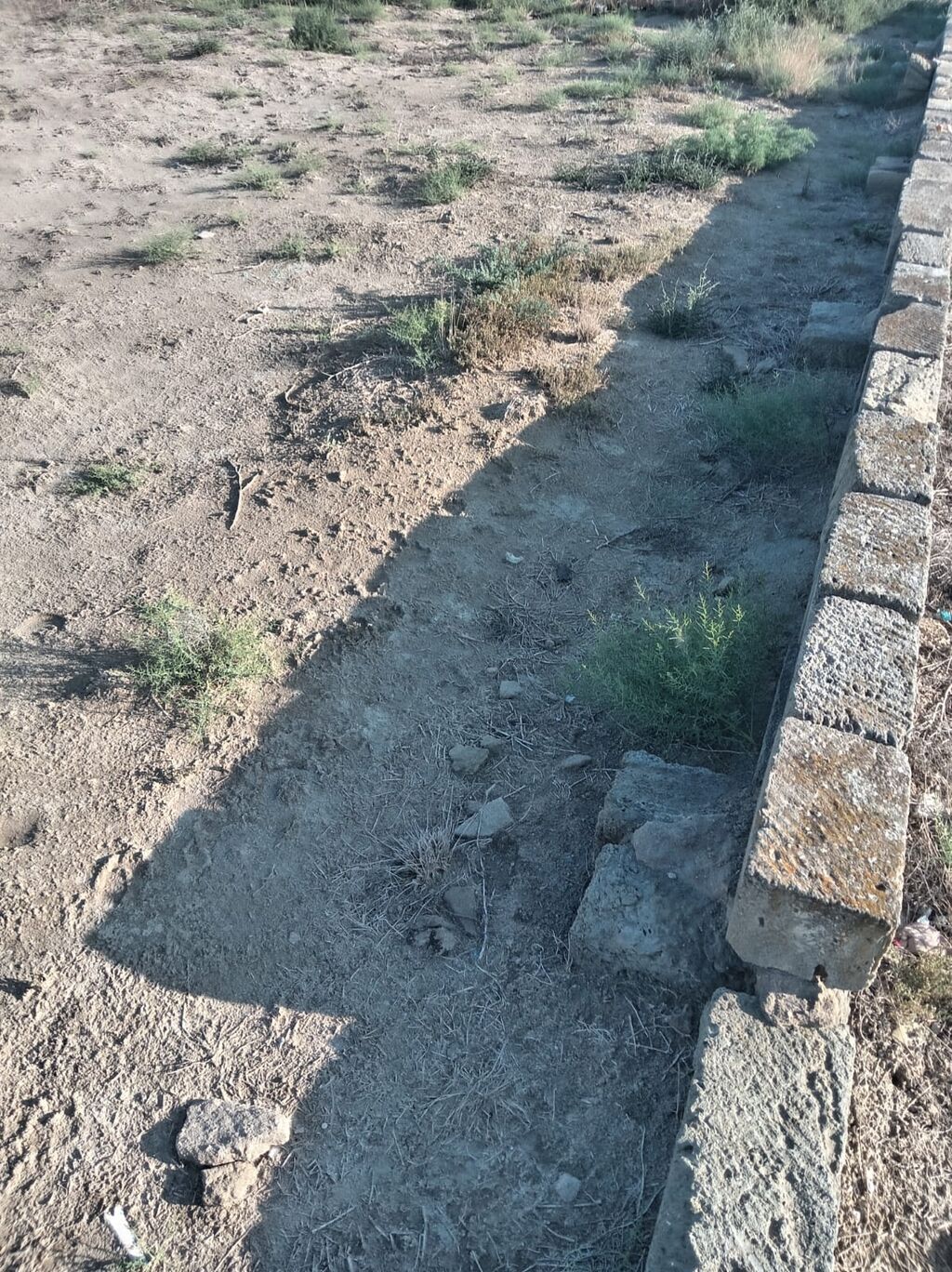 12 sot, Tikinti, Mülkiyyətçi, Kupça (Çıxarış)