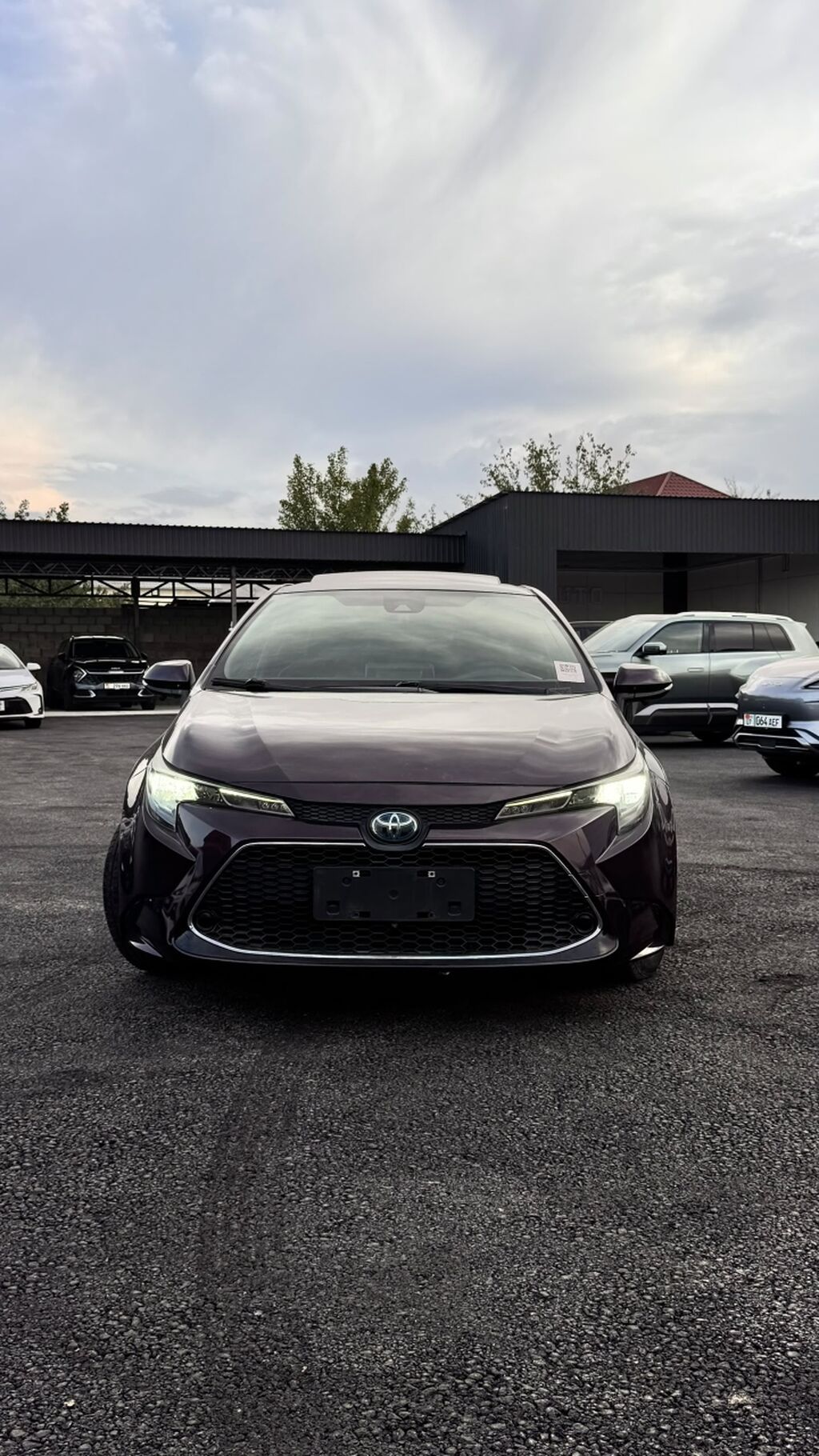 Toyota Levin: 2020 г., 1.8 л, Гибрид, Седан: фото 2
