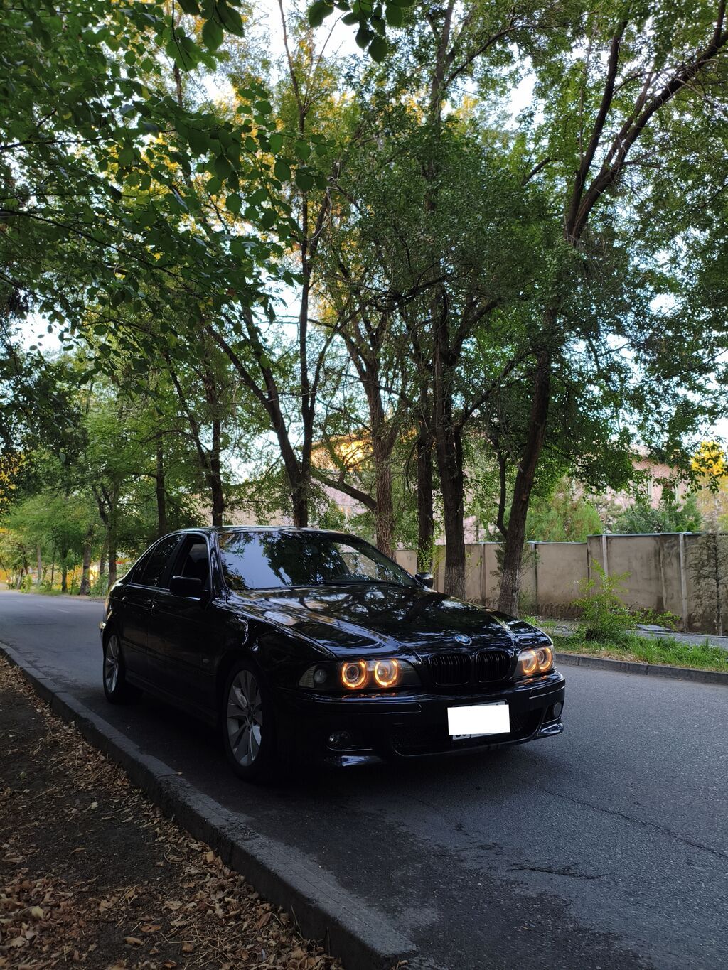 BMW 5 series: 2002 г., 2.5 л, Механика, Бензин, Седан: фото 1
