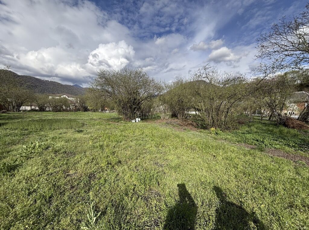 Tikinti, Mülkiyyətçi, Kupça (Çıxarış)