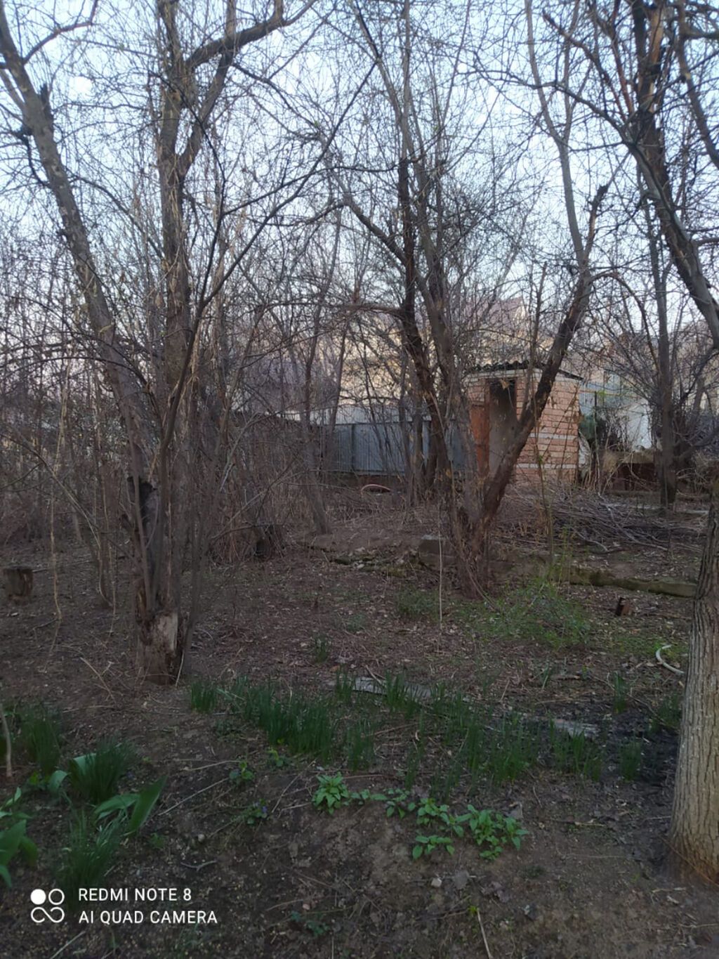 Сдаю дачу, дом кирп., 3 комнаты, вода поливная, свет, печное: фото 4