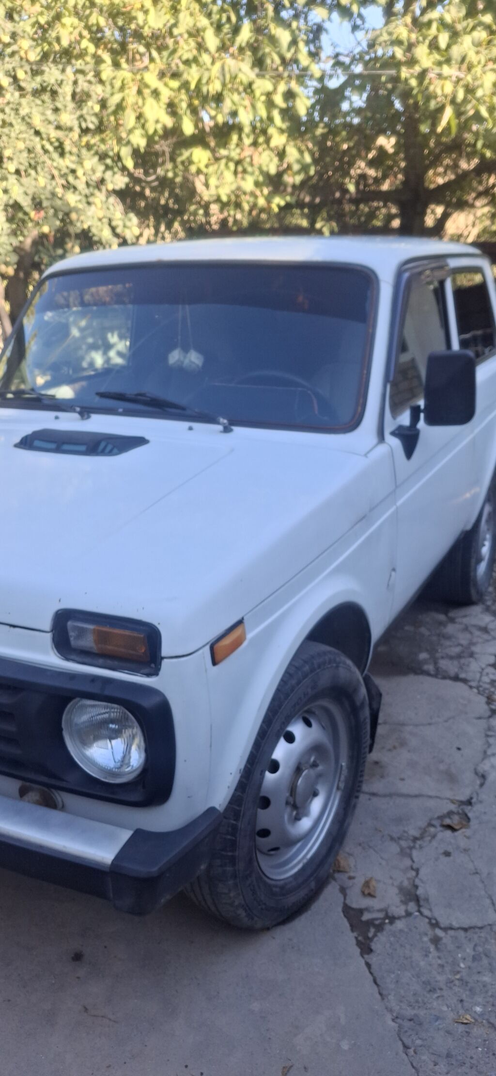 ВАЗ (ЛАДА) 2121 (4x4): 2004 г., 1.7 л, Механика, Бензин, Внедорожник: фото 5