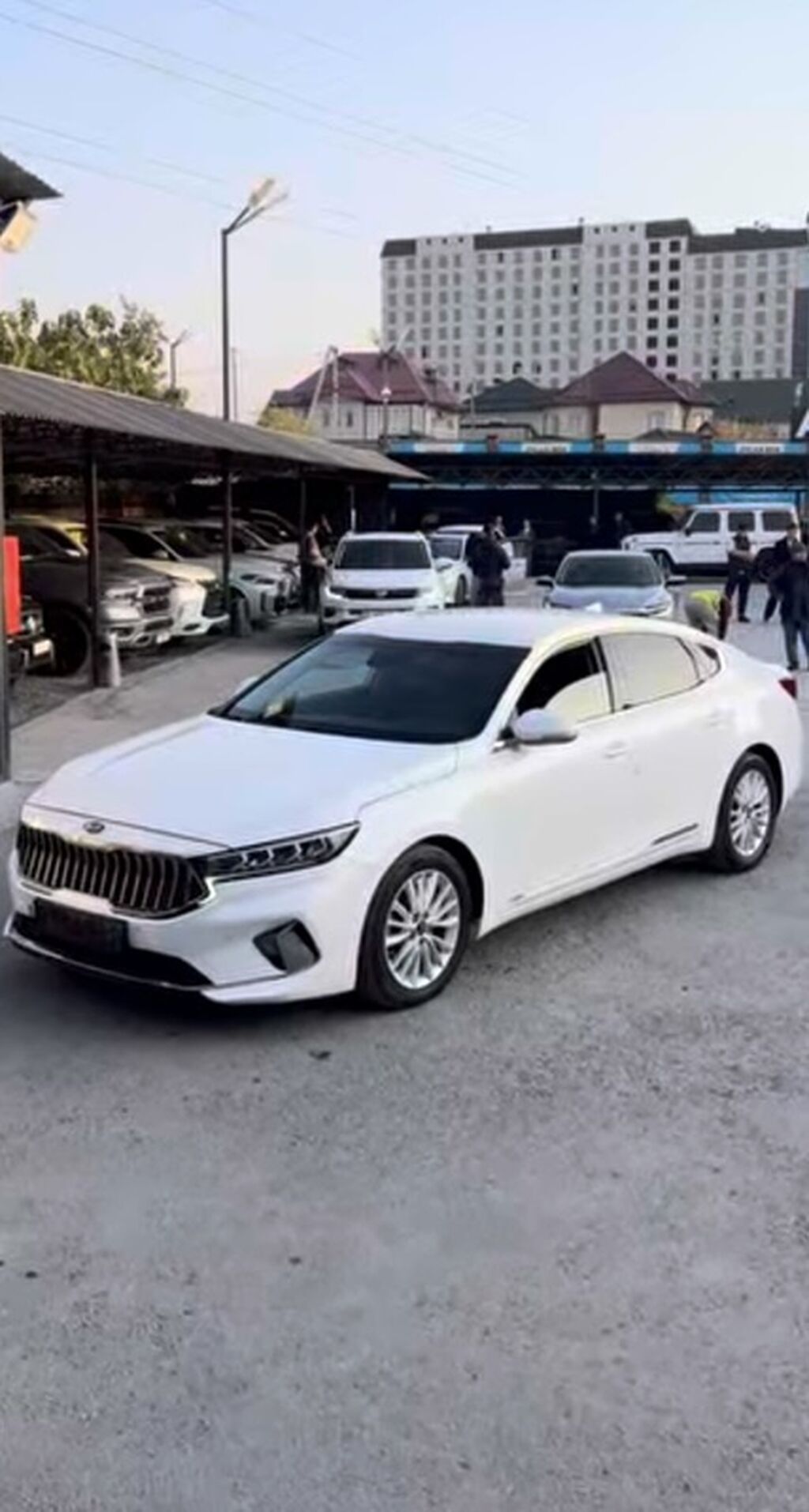 Kia K7: 2020 г., 3 л, Автомат, Газ, Седан: фото 6