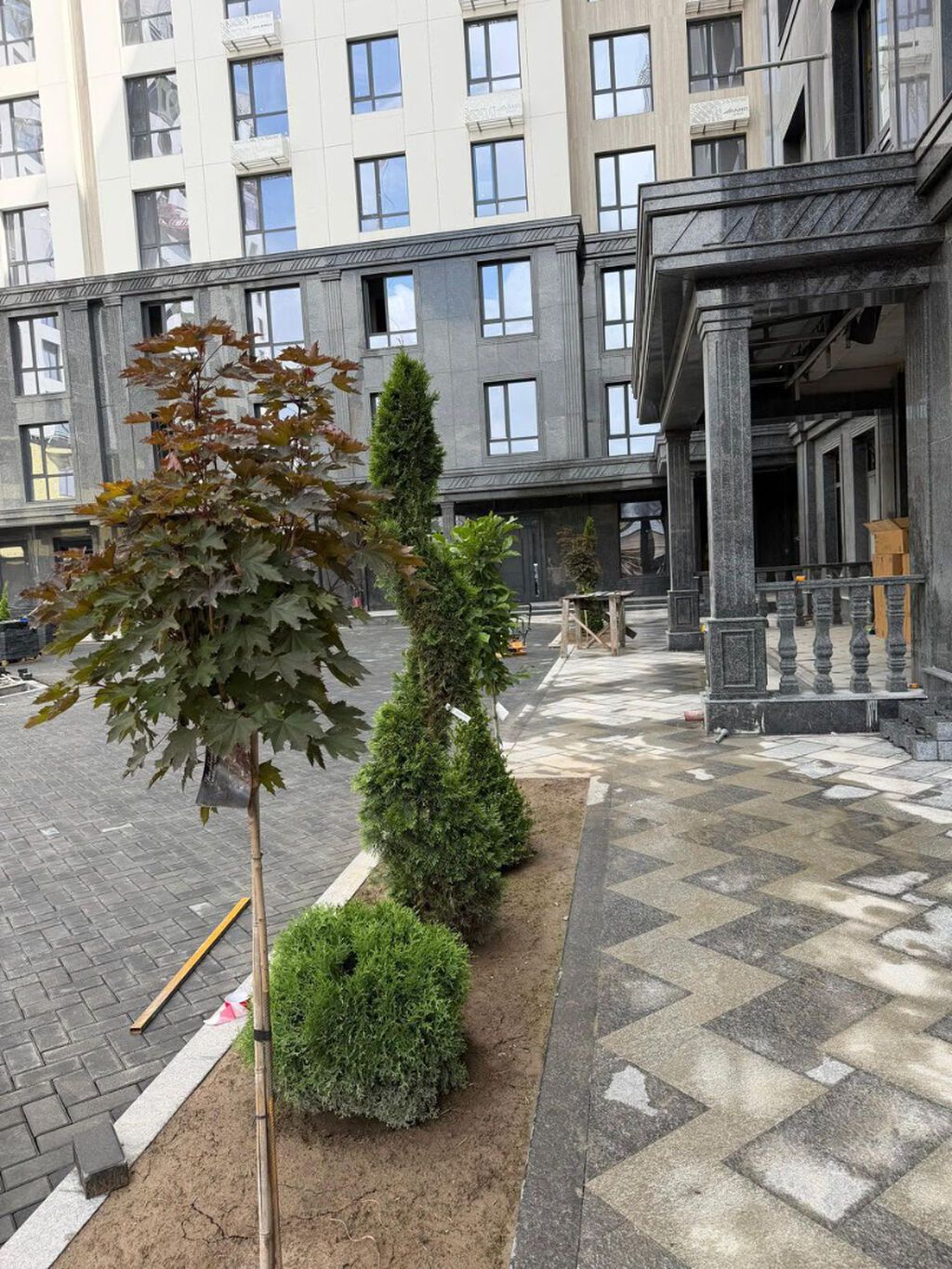 1 комната, 55 м², Элитка, 8 этаж, ПСО (под самоотделку): фото 5