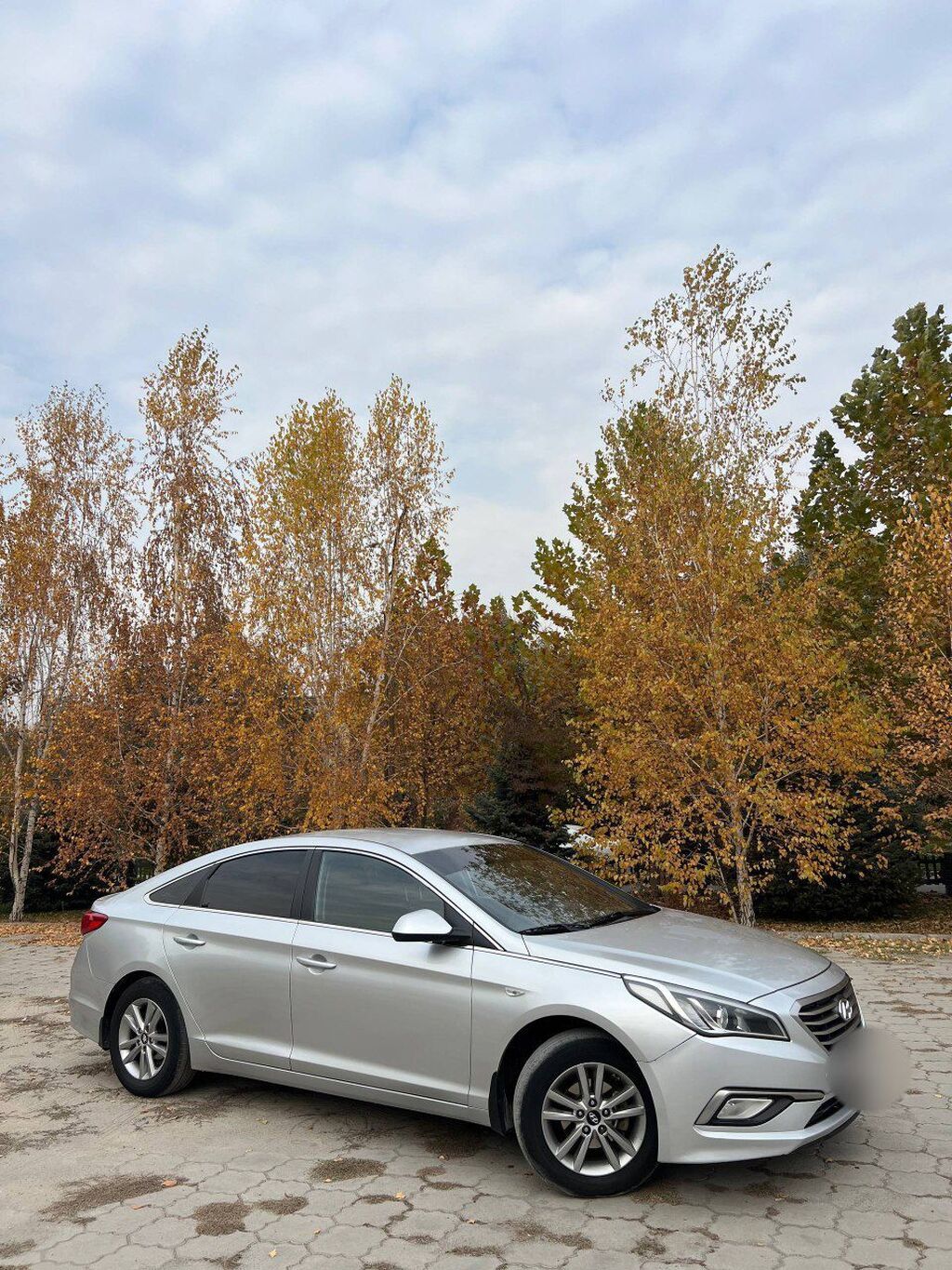 Hyundai Sonata: 2016 г., 2 л, Автомат, Газ, Седан: фото 3