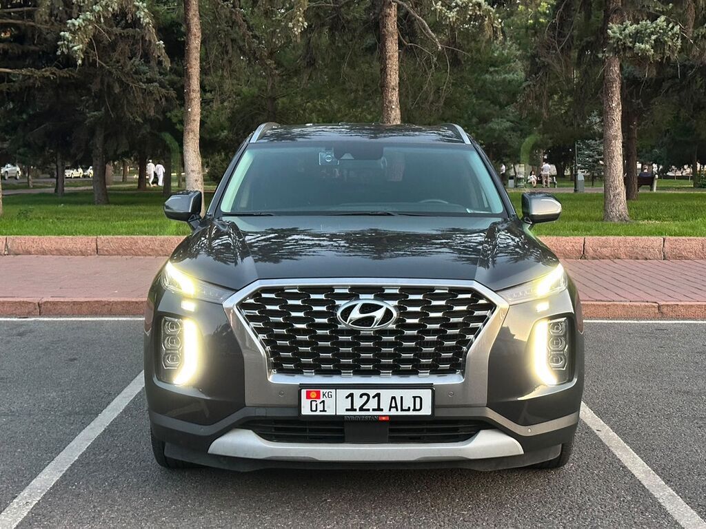 Hyundai Palisade: 2019 г., 2.2 л, Автомат, Дизель, Кроссовер: фото 2