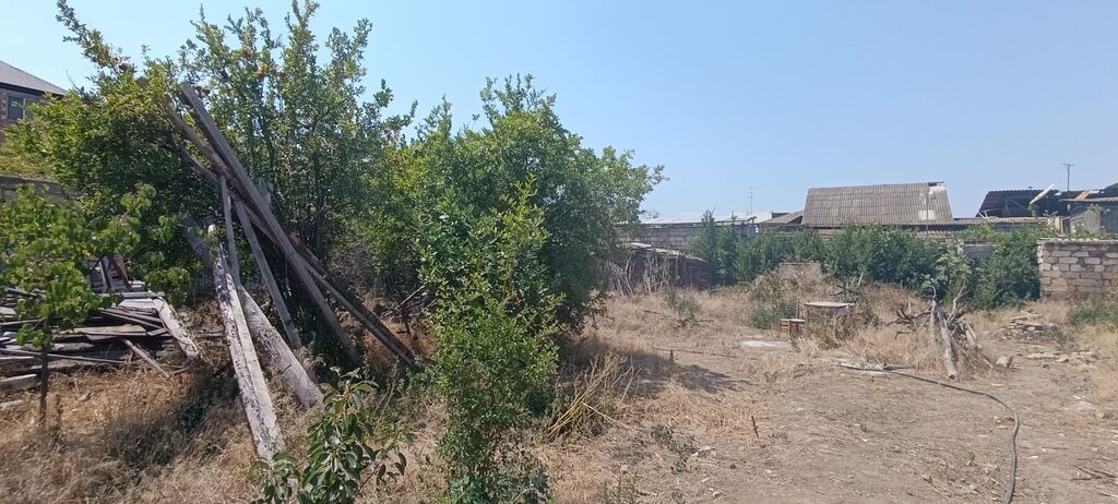 10 sot, Biznes üçün, Makler, Kupça (Çıxarış)