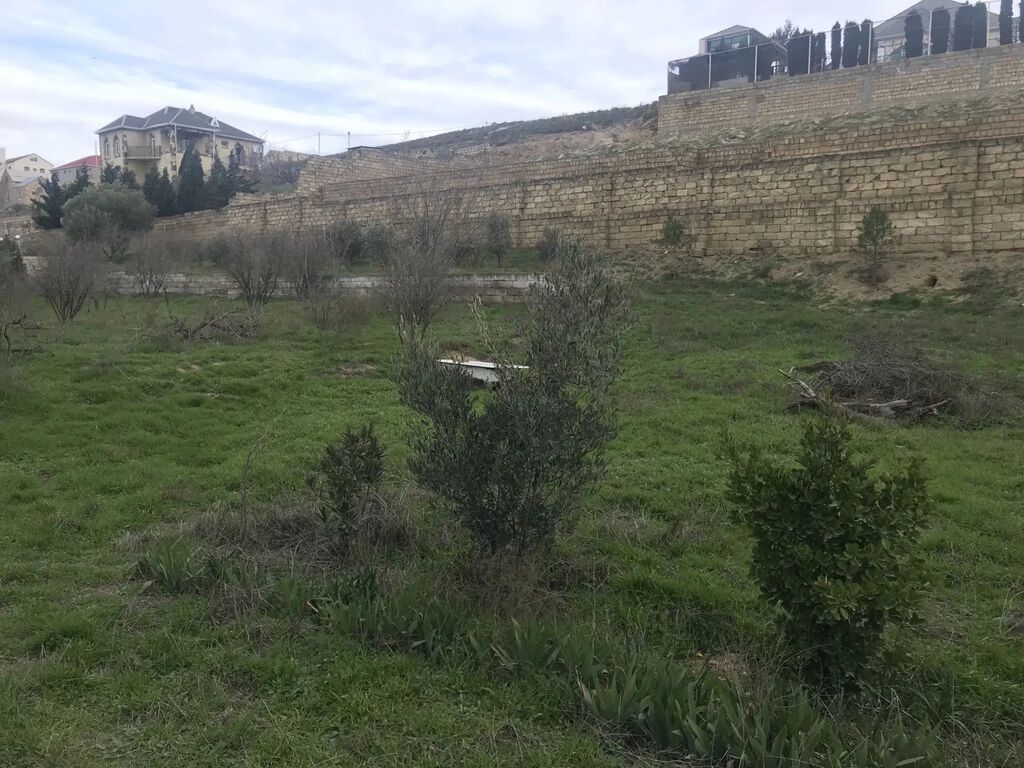 Xüsusi mülkiyyət, su, işıq, qaz, internet xətləri mövcüddur. Hamısı