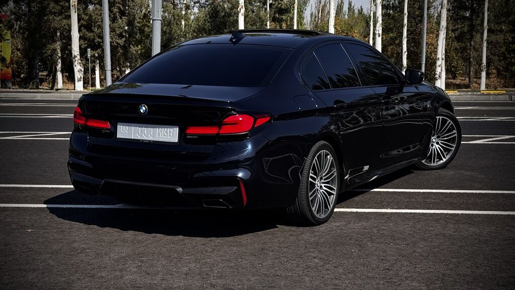 BMW 5 series: 2019 г., 2 л, Автомат, Бензин, Седан: фото 6