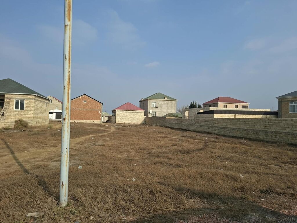 Tikinti