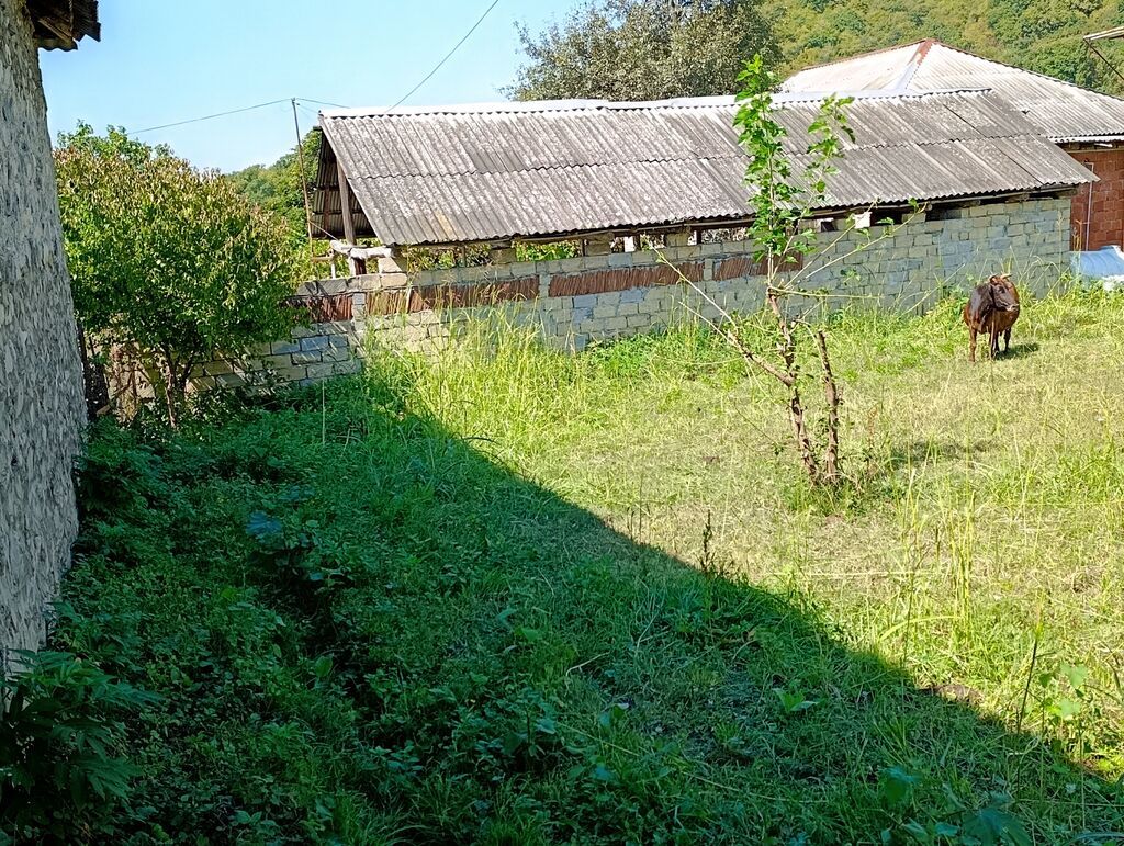 7 sot, Tikinti, Kupça (Çıxarış), Texniki pasport