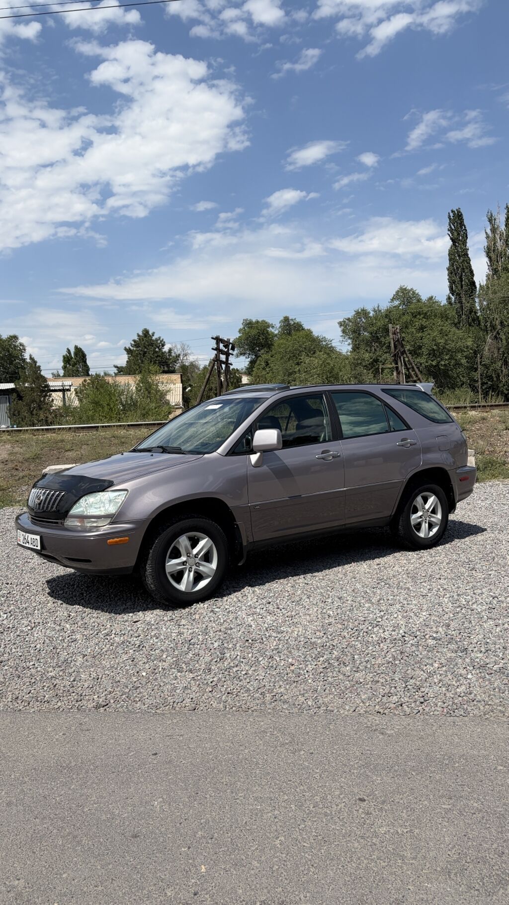 Lexus RX: 2003 г., 3 л, Автомат, Бензин, Кроссовер: фото 2