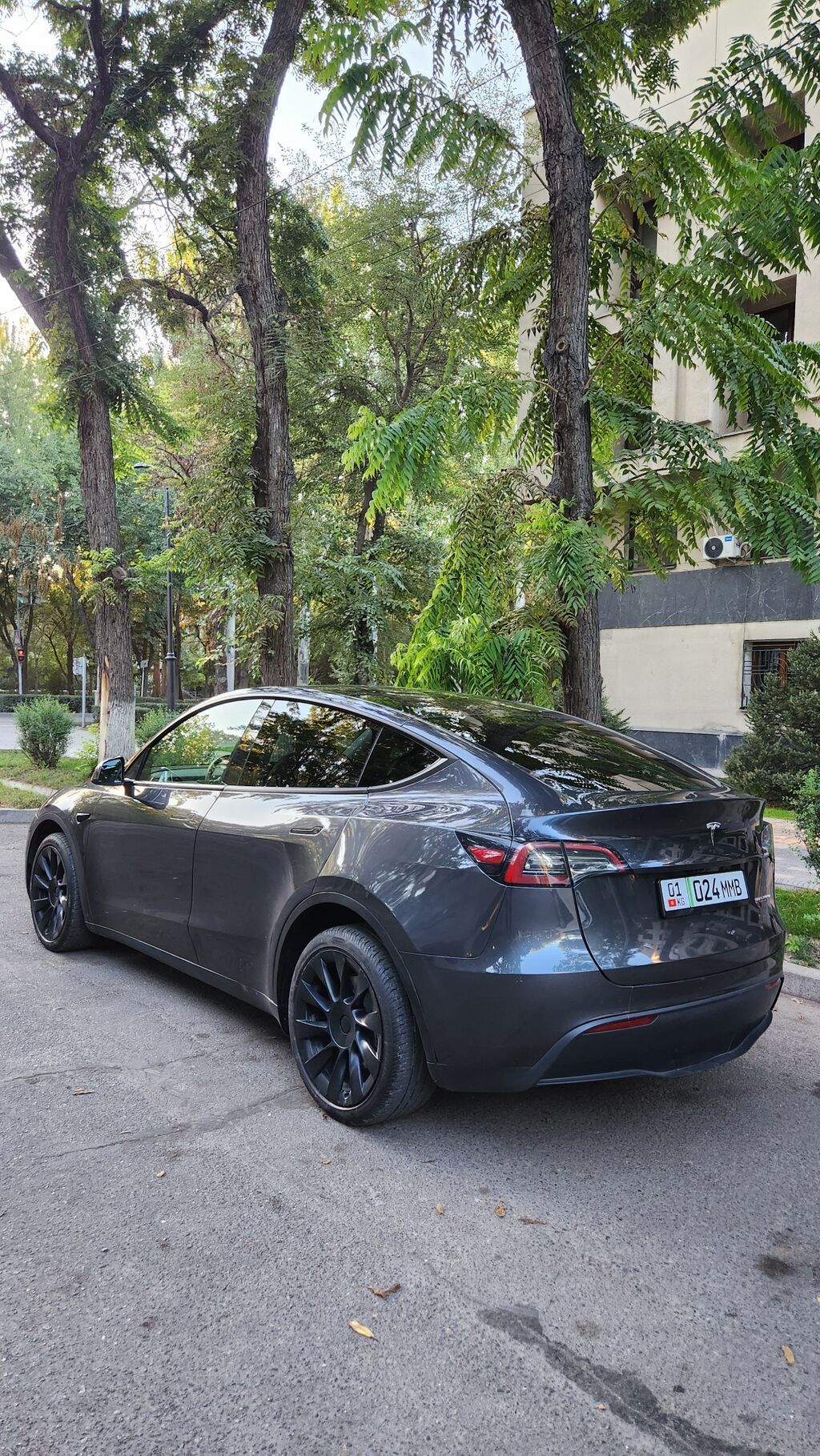 Tesla Model Y: 2024 г., Автомат, Электромобиль, Кроссовер: фото 5