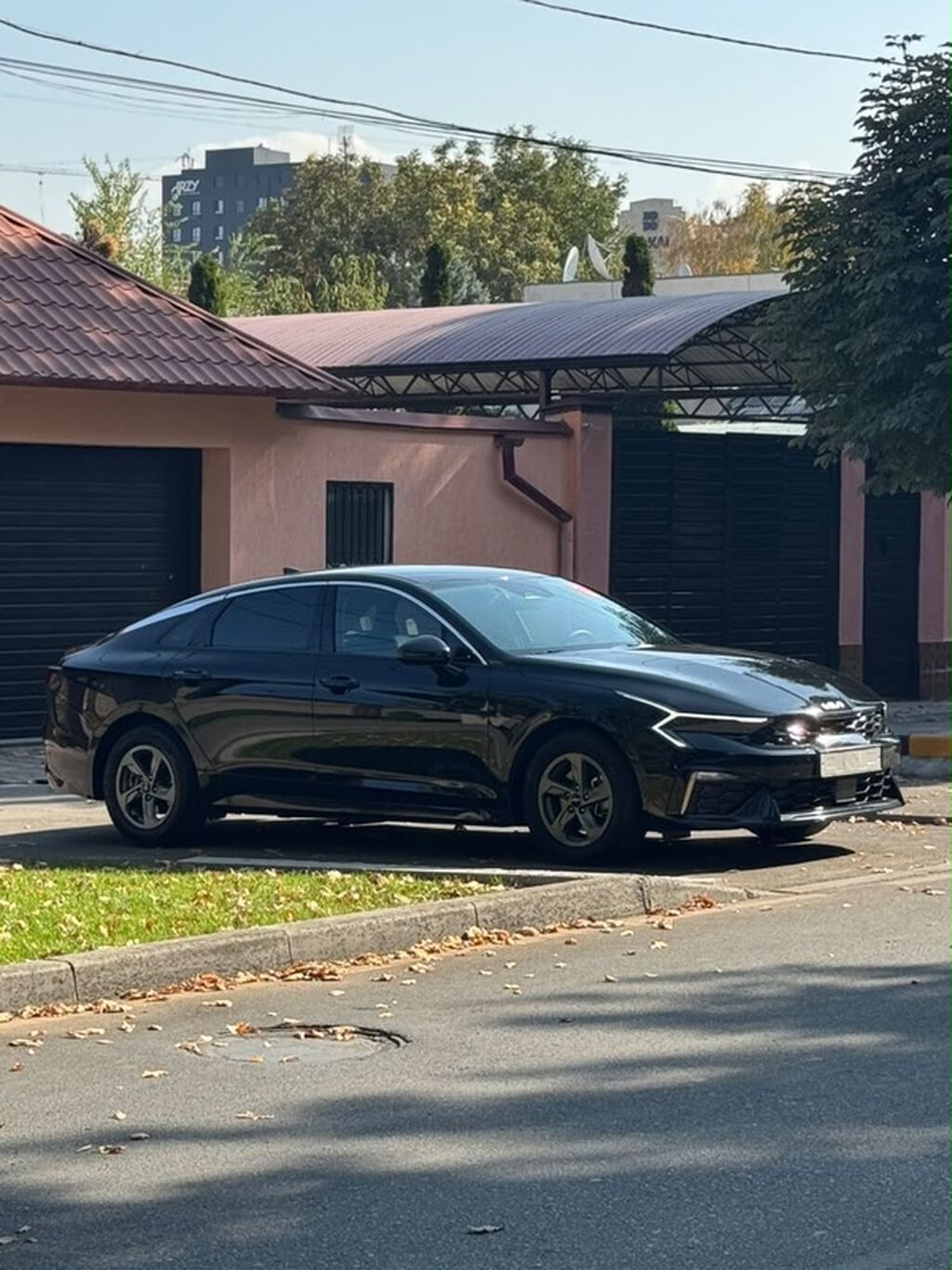 Kia K5: 2023 г., 2 л, Газ, Седан: фото 2
