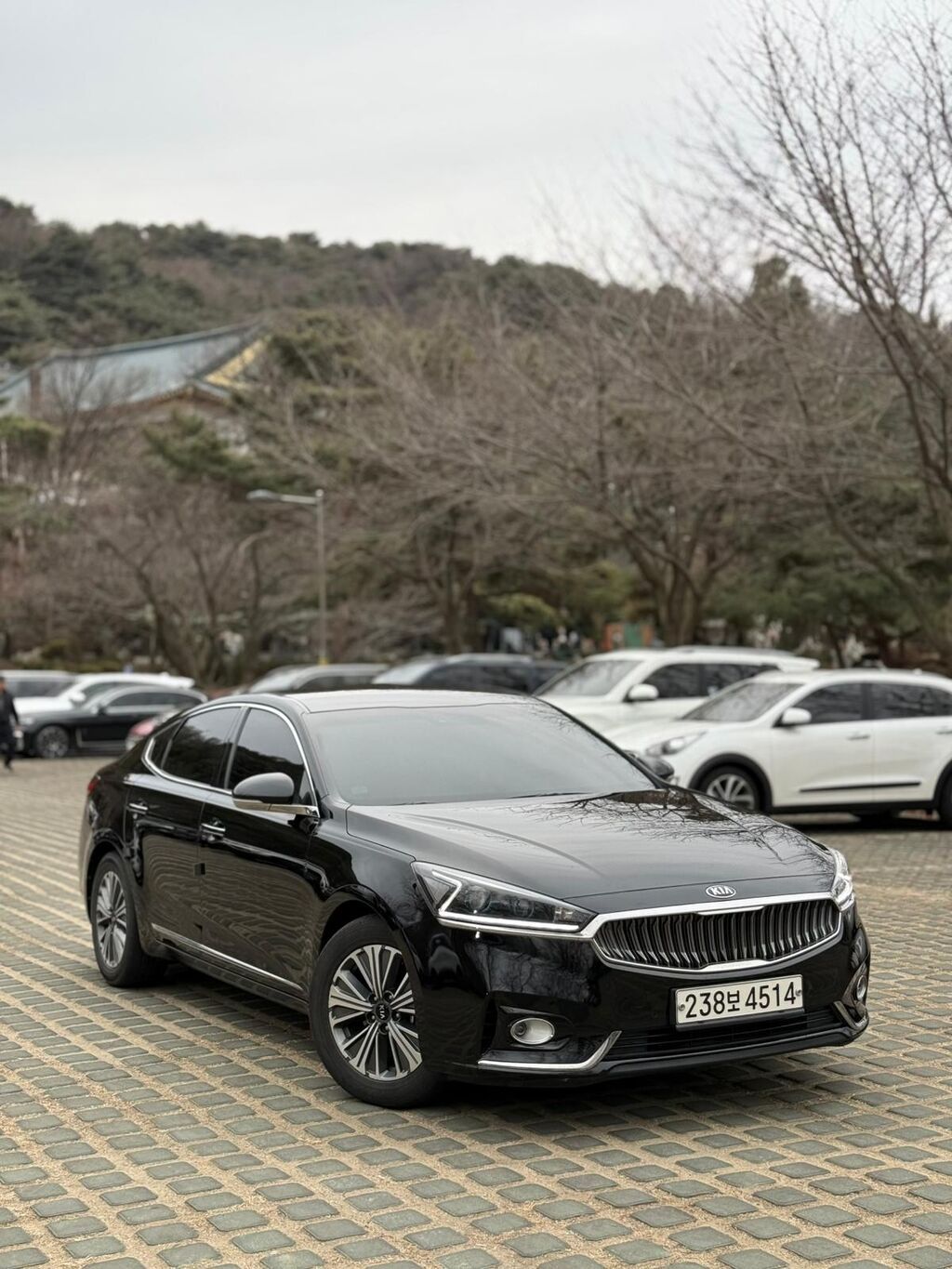 Kia K7: 2019 г., 2.4 л, Автомат, Гибрид, Седан: фото 6