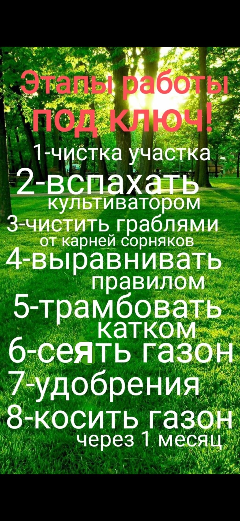 Газон под ключ+гарантия!!на замеры по городу: Договорная ➤ Газон | Бишкек |  39029725 ᐈ lalafo.kg