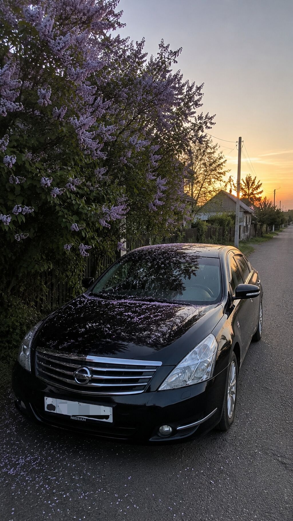 Nissan Teana: 2010 г., 3.5 л, Вариатор, Бензин, Седан: фото 1