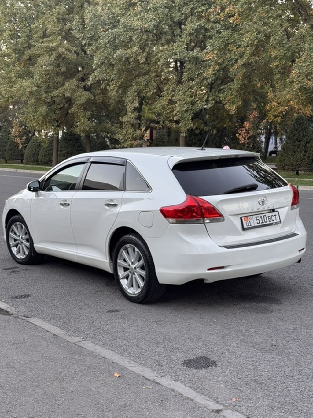 Toyota Venza: 2009 г., 2.7 л, Автомат, Бензин, Кроссовер: фото 8