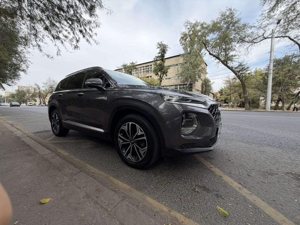 Hyundai Santa Fe: 2019 г., 2 л, Автомат, Дизель, Кроссовер: фото 4