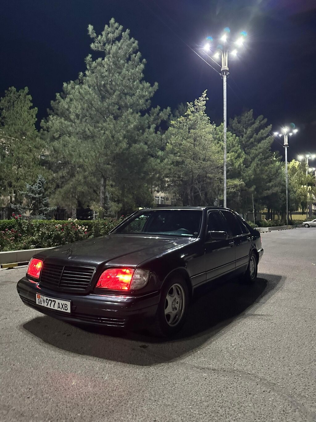 Mercedes-Benz S-Class: 1996 г., 4.2 л, Автомат, Газ, Седан: фото 2