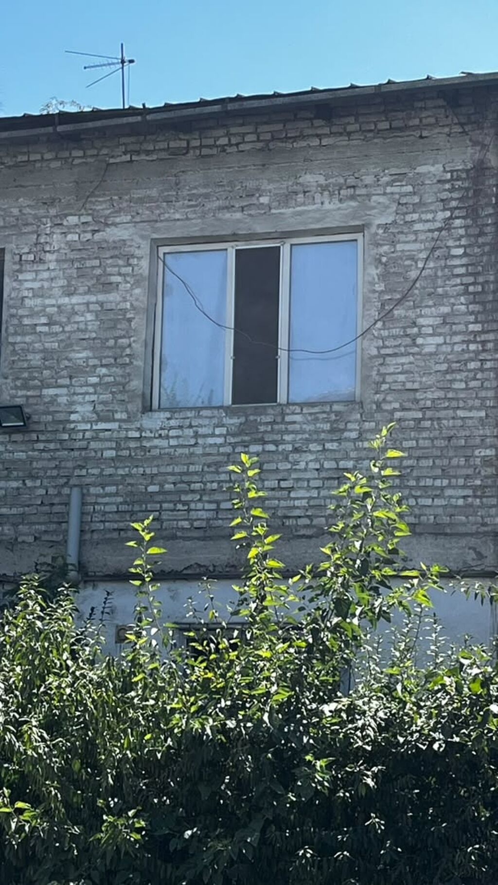 Однокомнатное помещение 14,4 м² в кирпичном доме - Планировка: фото 3