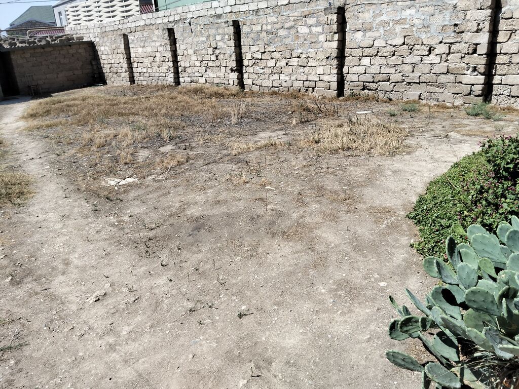 3 sot, Tikinti, Mülkiyyətçi
