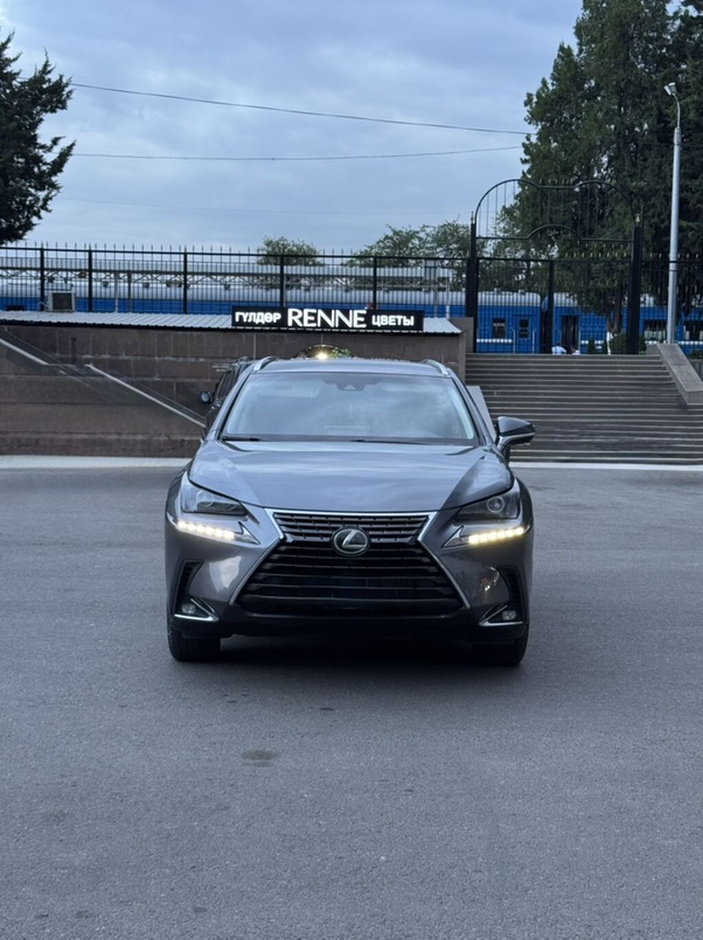 Lexus NX: 2018 г., 2 л, Автомат, Бензин, Кроссовер: фото 1