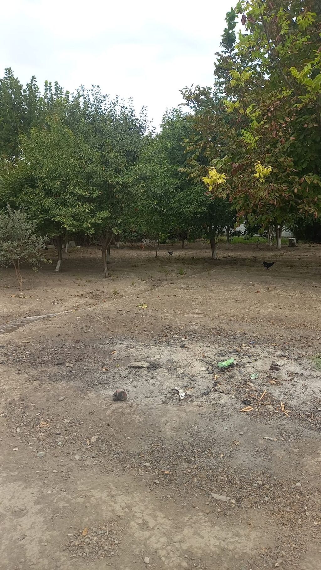 4 otaqlı, 120 kv. m, Kredit yoxdur, Orta təmir