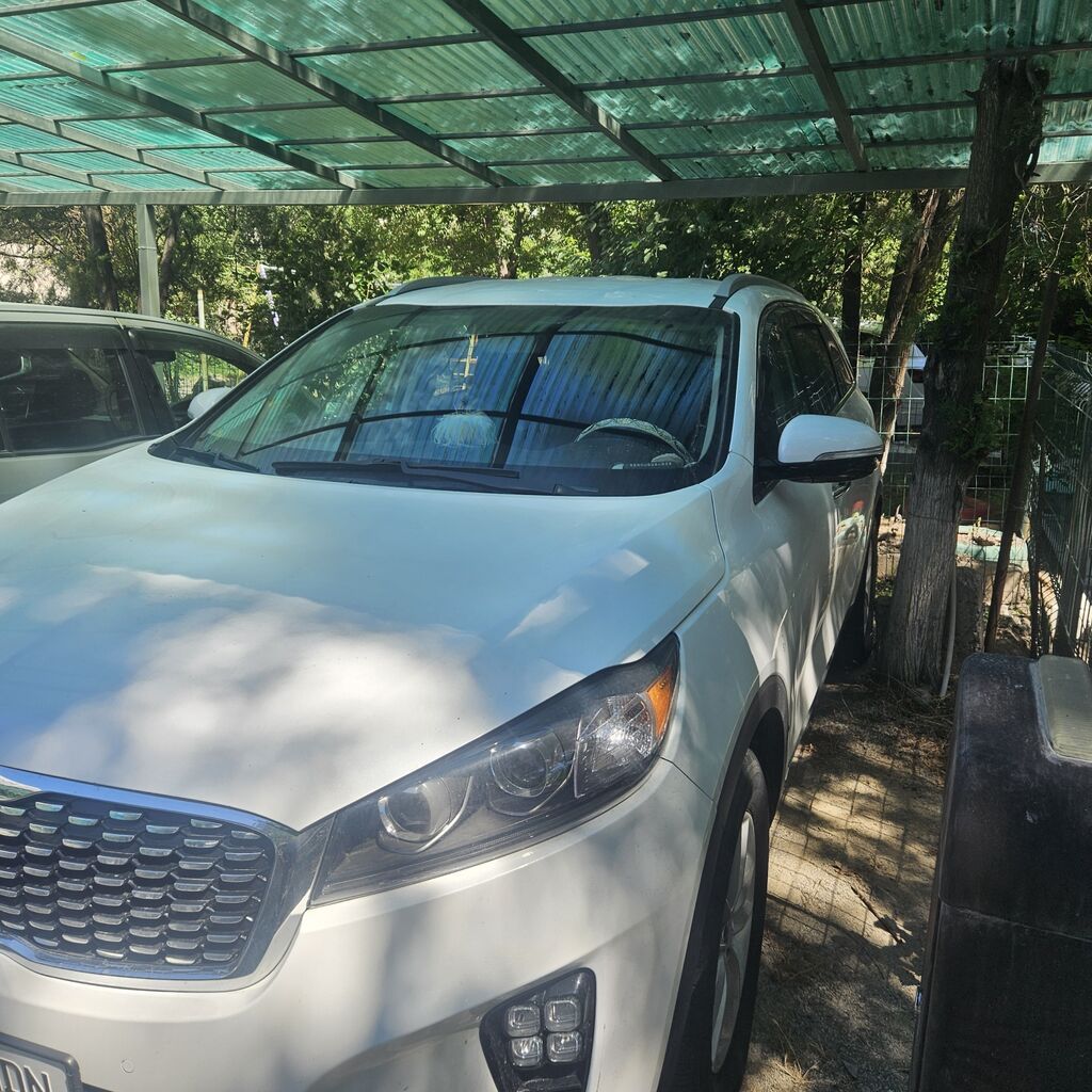 Kia Sorento: 2019 г., Кроссовер: фото 3