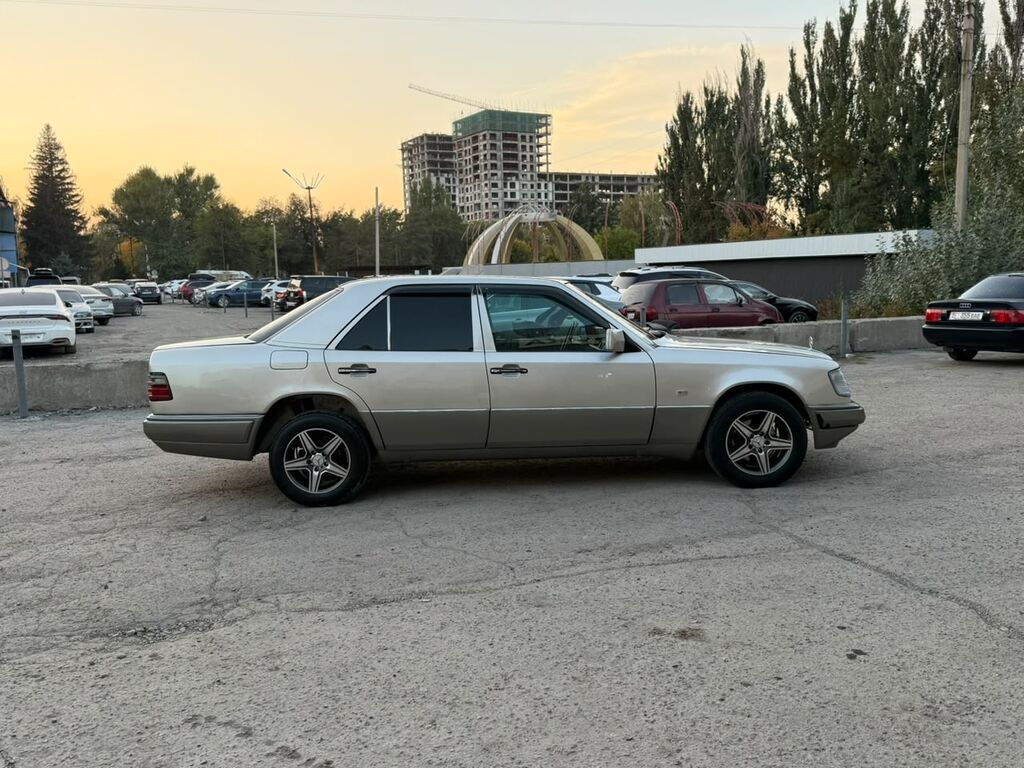 Mercedes-Benz E-Class: 1994 г., 2.2 л, Механика, Бензин, Седан: фото 6