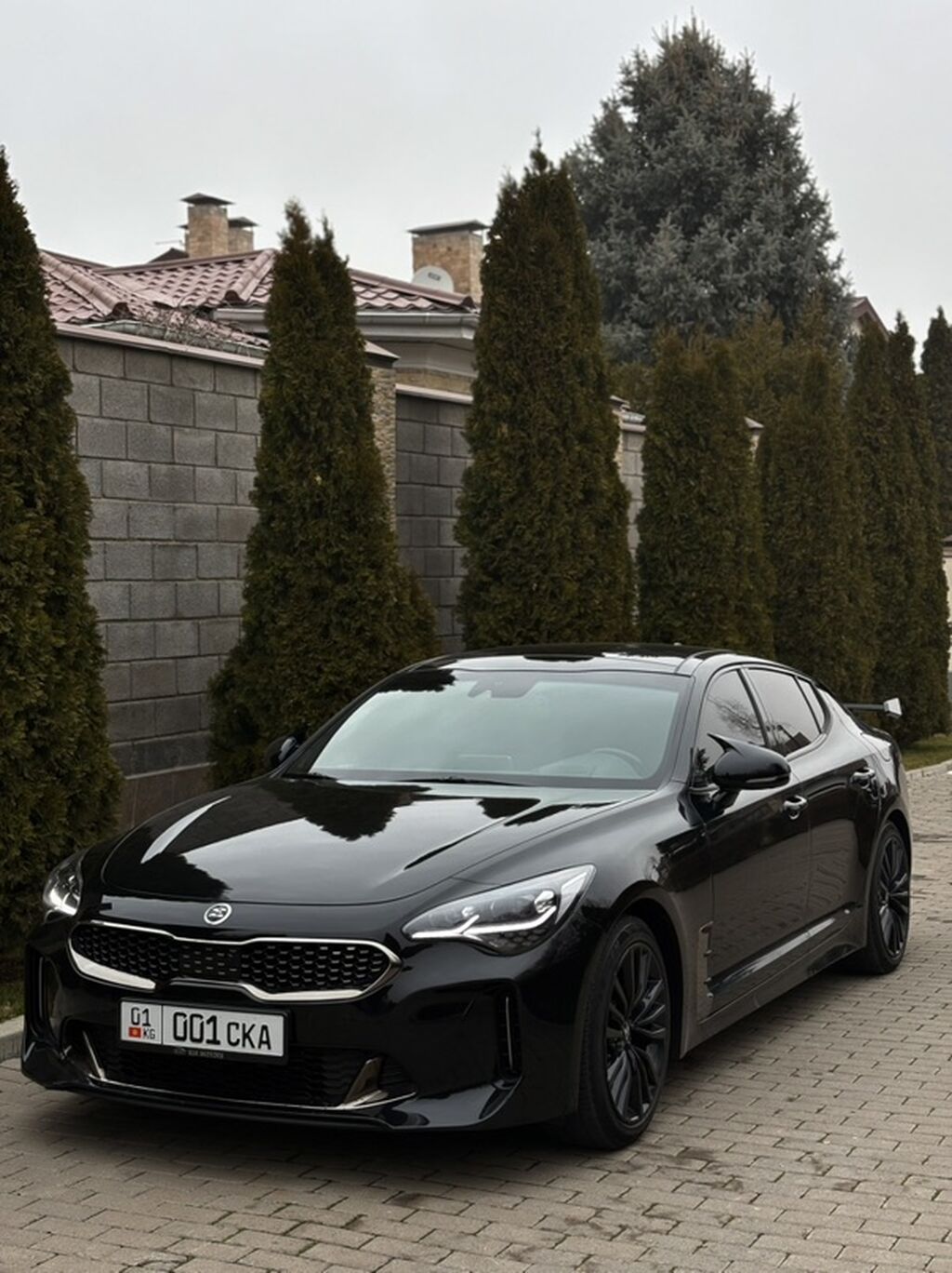 Kia Stinger: 2019 г., 2 л, Автомат, Бензин, Фастбек: фото 5