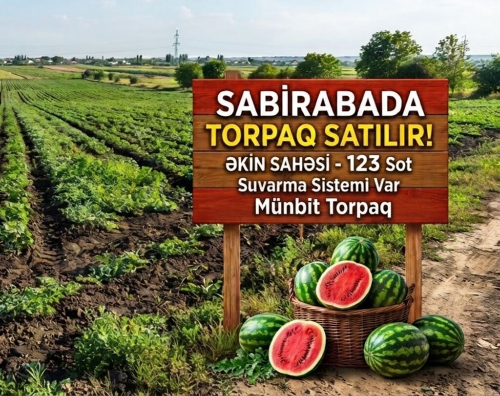Kənd təsərrüfatı