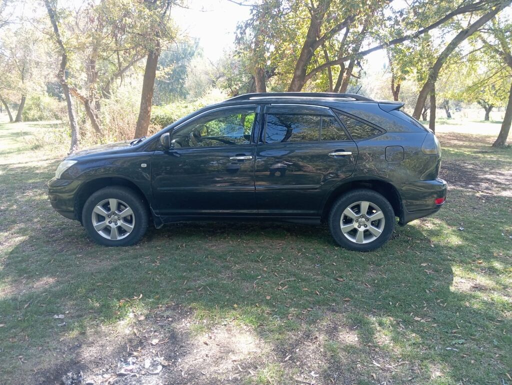 Lexus RX: 2007 г., Кроссовер: фото 1