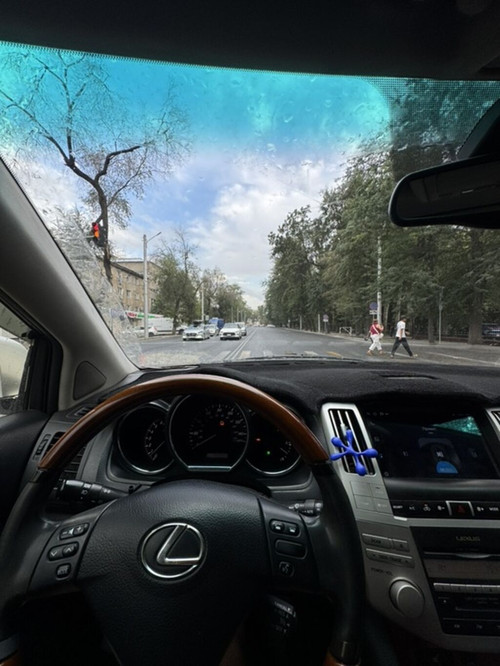 Lexus RX: 2004 г., 3.3 л, Автомат, Бензин, Кроссовер: фото 6