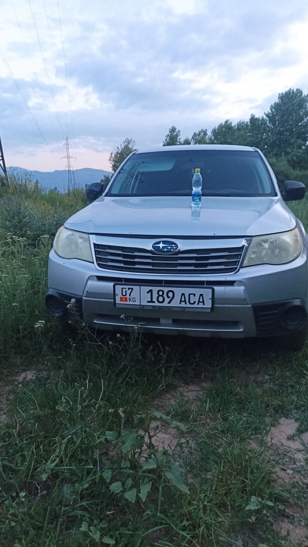 Subaru Forester: 2009 г., Кроссовер: фото 2