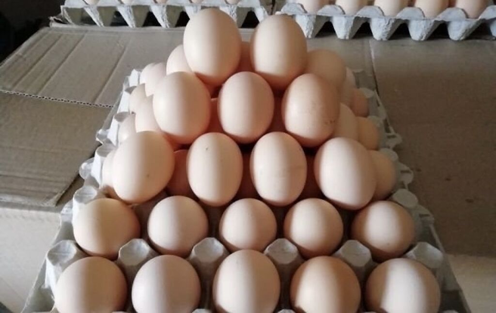 Кремовые яйца. Яйцо кремовое. Фермерские яйца. Яйца кремового цвета. Пирамида из яиц.
