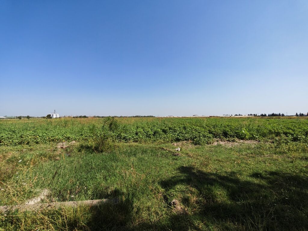 300 sot, Kənd təsərrüfatı, Mülkiyyətçi, Kupça (Çıxarış)